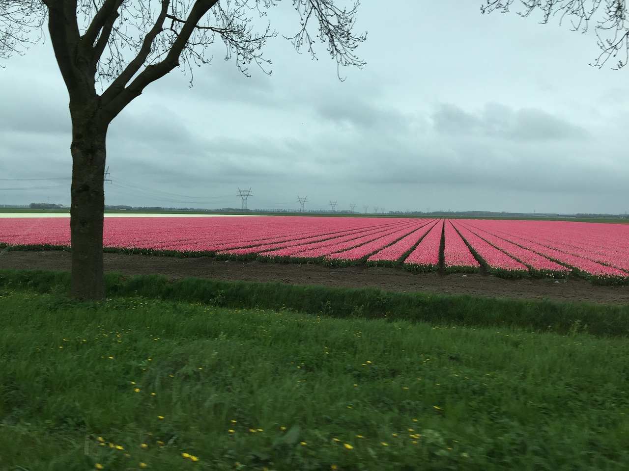 Container huren Flevoland